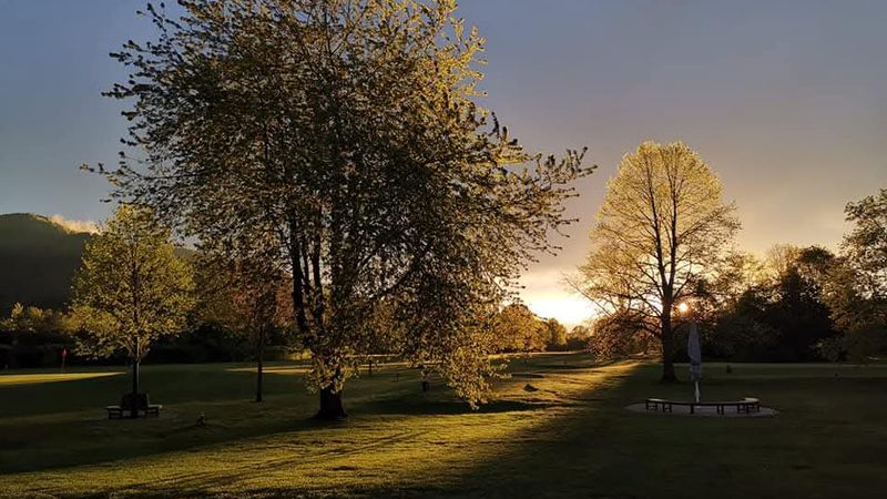 Der Golfplatz im Abendlicht